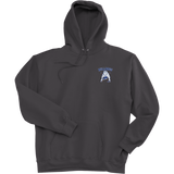Chicago Bulldogs Super Heavyweight Fleece Hoodie