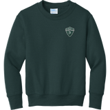 Biggby Spartans Youth Core Fleece Crewneck Sweatshirt